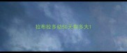 拉布拉多幼50天有多大