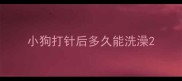 小狗打针后多久能洗澡