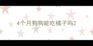 4个月狗狗能吃橘子吗