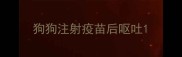 狗狗注射疫苗后呕吐