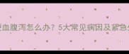 泰迪犬便血腹泻怎么办5大常见病因及紧急处理指南
