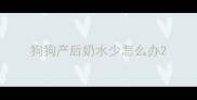 狗狗产后奶水少怎么办