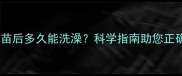 幼猫接种疫苗后多久能洗澡科学指南助您正确护理爱宠
