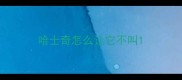 哈士奇怎么让它不叫