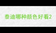 泰迪哪种颜色好看
