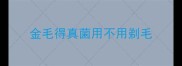 金毛得真菌用不用剃毛