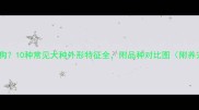 如何选小狗10种常见犬种外形特征全附品种对比图附养宠攻略