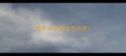 城市犬舍边牧怎么养