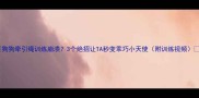 狗狗牵引绳训练崩溃3个绝招让TA秒变乖巧小天使附训练视频