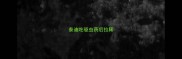 泰迪吃驱虫药后拉稀