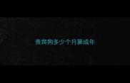 贵宾狗多少个月算成年