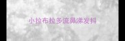 小拉布拉多流鼻涕发抖