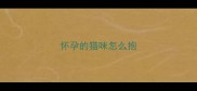 怀孕的猫咪怎么抱