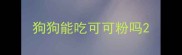 狗狗能吃可可粉吗