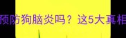 疫苗能100预防狗脑炎吗这5大真相养狗人必看