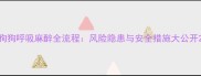 狗狗呼吸麻醉全流程风险隐患与安全措施大公开