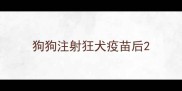 狗狗注射狂犬疫苗后
