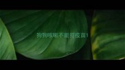狗狗咳嗽不能打疫苗