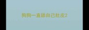 狗狗一直舔自己肚皮