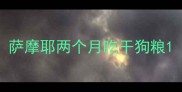 萨摩耶两个月吃干狗粮