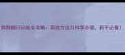 狗狗随行训练全攻略高效方法与科学步骤新手必看