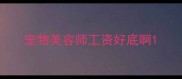 宠物美容师工资好底啊