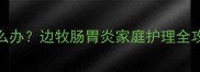 边境牧羊犬腹泻着凉怎么办边牧肠胃炎家庭护理全攻略附紧急处理指南