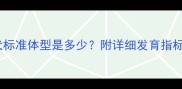 8个月金毛犬标准体型是多少附详细发育指标与饲养指南