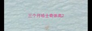 三个月哈士奇体高