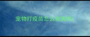 宠物打疫苗怎么查真假