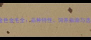白色金毛vs金色金毛全品种特性饲养指南与选购避坑指南
