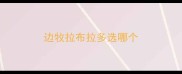 边牧拉布拉多选哪个