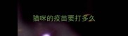 猫咪的疫苗要打多久