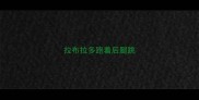 拉布拉多跑着后腿跳
