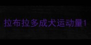拉布拉多成犬运动量