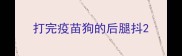 打完疫苗狗的后腿抖