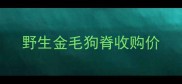 野生金毛狗脊收购价