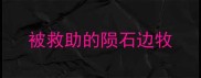 被救助的陨石边牧
