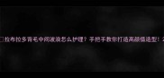 拉布拉多背毛中间波浪怎么护理手把手教你打造高颜值造型