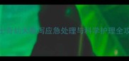 哈士奇幼犬腹泻应急处理与科学护理全攻略