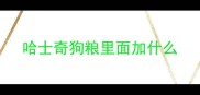 哈士奇狗粮里面加什么