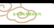 金毛退毛需要剃毛吗