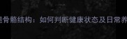 边牧后腿骨骼结构如何判断健康状态及日常养护指南