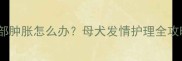 哈士奇发情期阴部肿胀怎么办母犬发情护理全攻略附真实案例