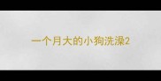 一个月大的小狗洗澡