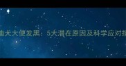 泰迪犬大便发黑5大潜在原因及科学应对指南