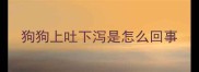 狗狗上吐下泻是怎么回事