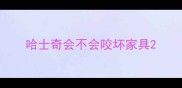 哈士奇会不会咬坏家具
