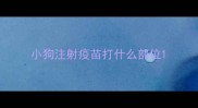 小狗注射疫苗打什么部位