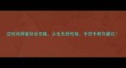 边牧纯种鉴别全攻略从毛色到性格手把手教你避坑